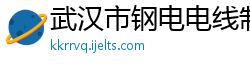 武汉市钢电电线制造有限公司